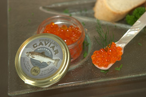 Forellen-Kaviar